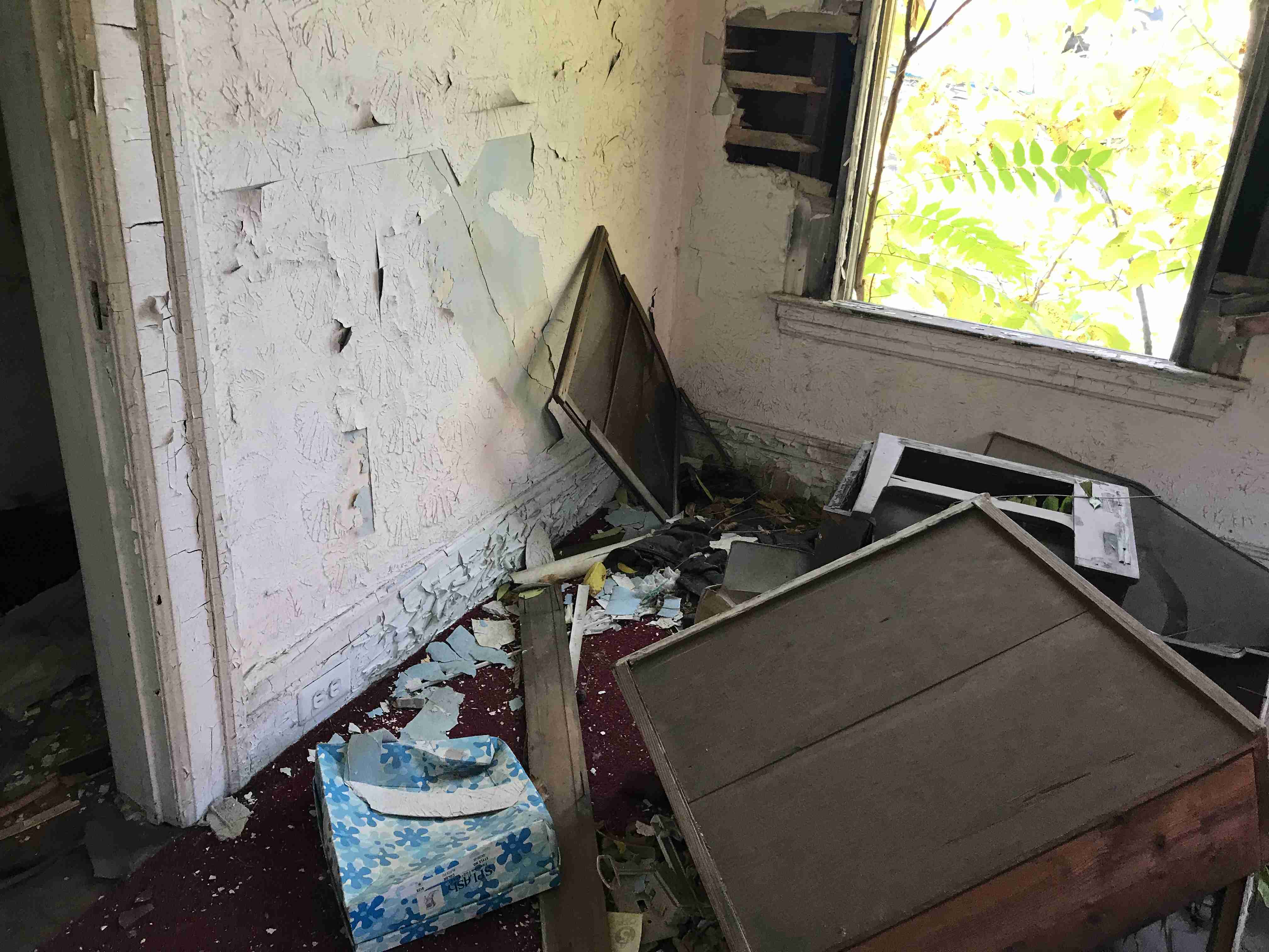 Photo Oct 13, 1 58 19 PM.jpg